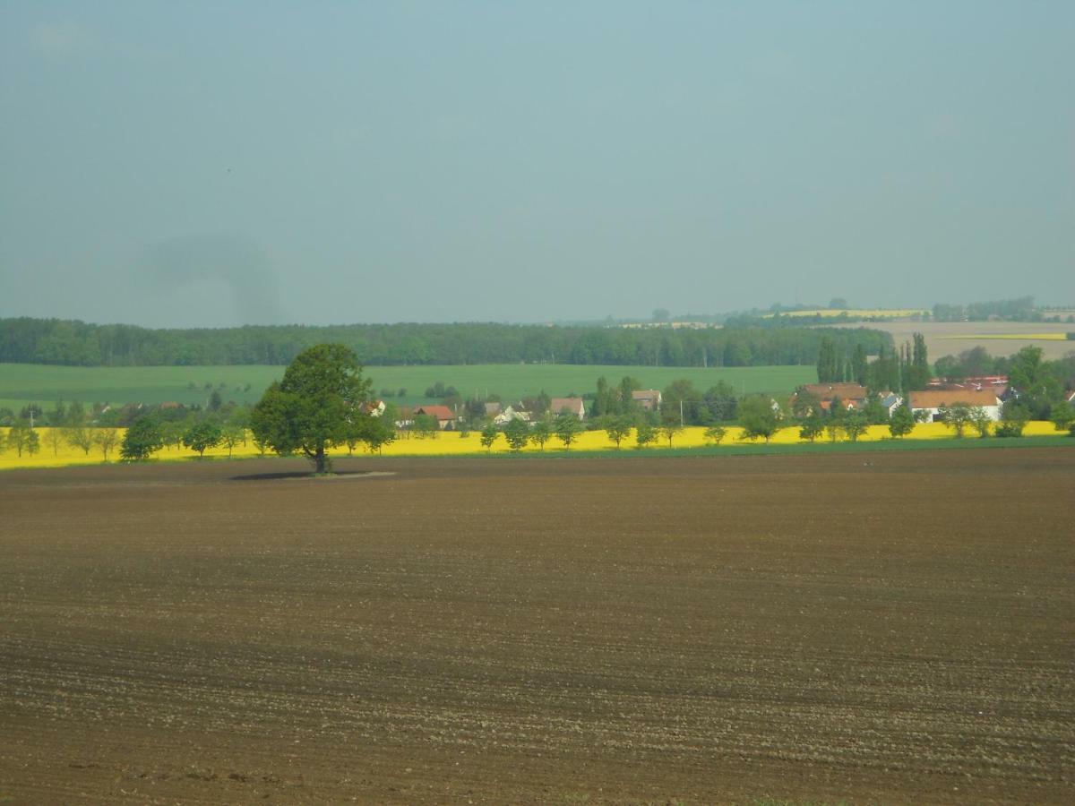 Gastehaus Schirner Hotel Niederau ภายนอก รูปภาพ